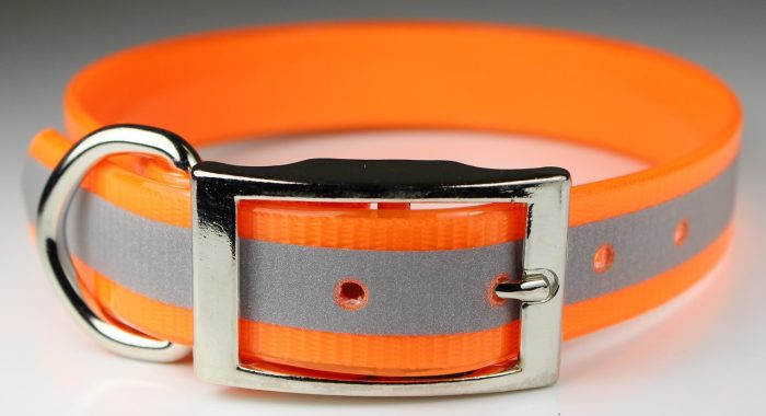 1" Sunglo Collar Straight with D Ring - 25" - Reflective - Image 6