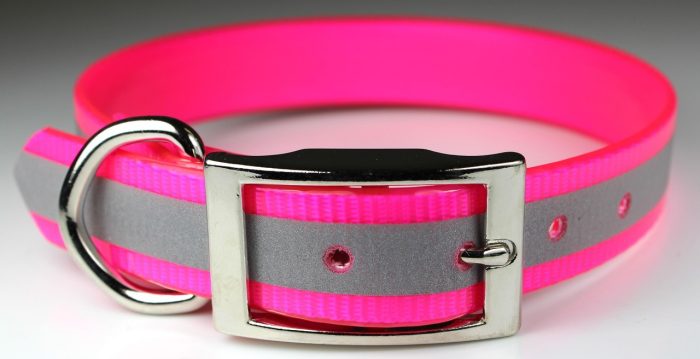 1" Sunglo Collar Straight with D Ring - 25" - Reflective - Image 7