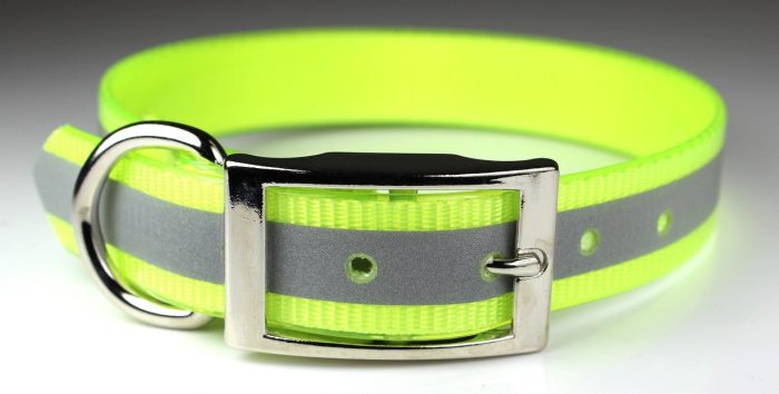 1" Sunglo Collar Straight with D Ring - 25" - Reflective - Image 5