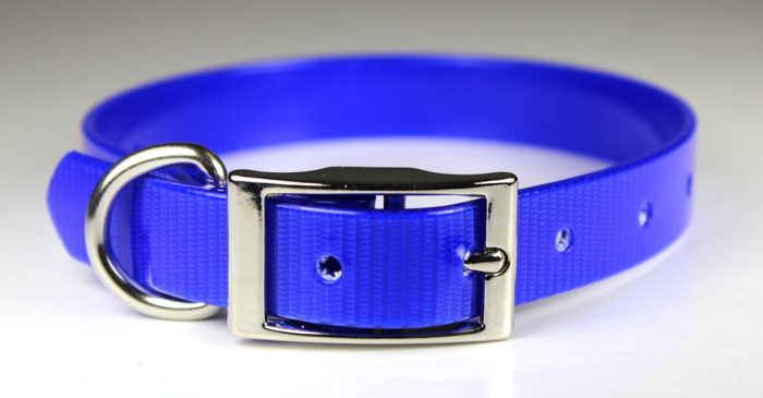 1" Sunglo Collar Straight with D Ring - 25"