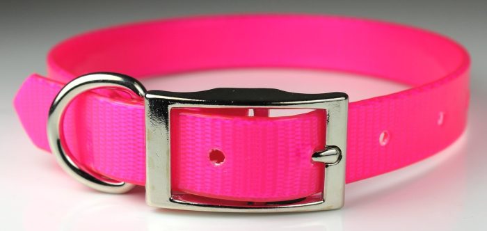 1" Sunglo Collar Straight with D Ring - 25" - Image 4
