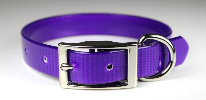 1" Sunglo Collar Straight with D Ring - 25" - Image 7