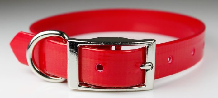 1" Sunglo Collar Straight with D Ring - 25" - Image 3