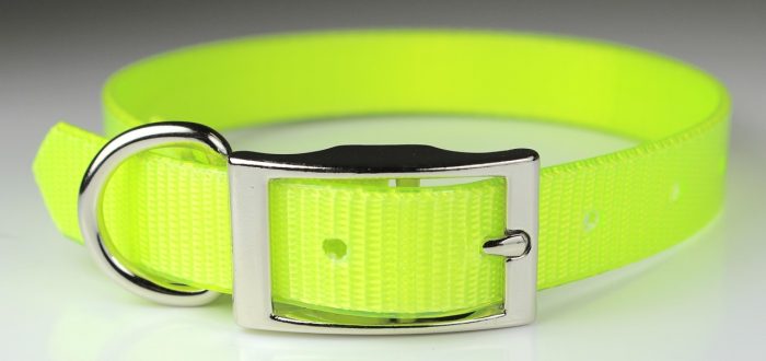 3/4" Sunglo Collar Straight with D Ring - 20" - Image 4