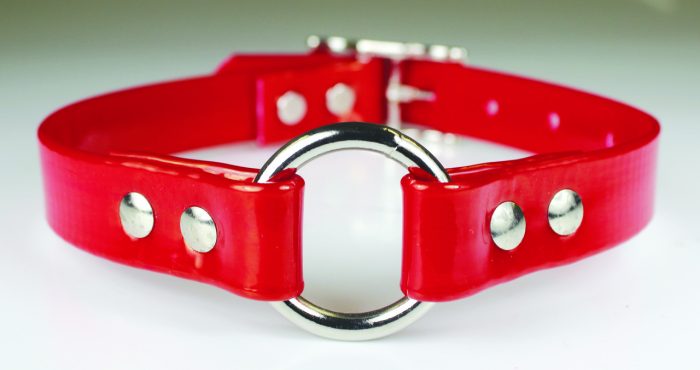 1" Sunglo Ring in Center Collar - 25" - Image 4