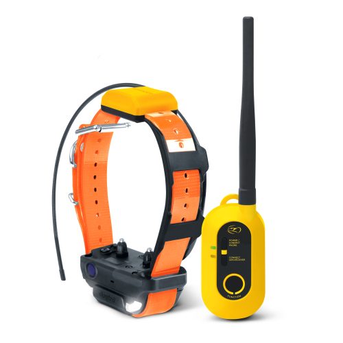 Dogtra Pathfinder