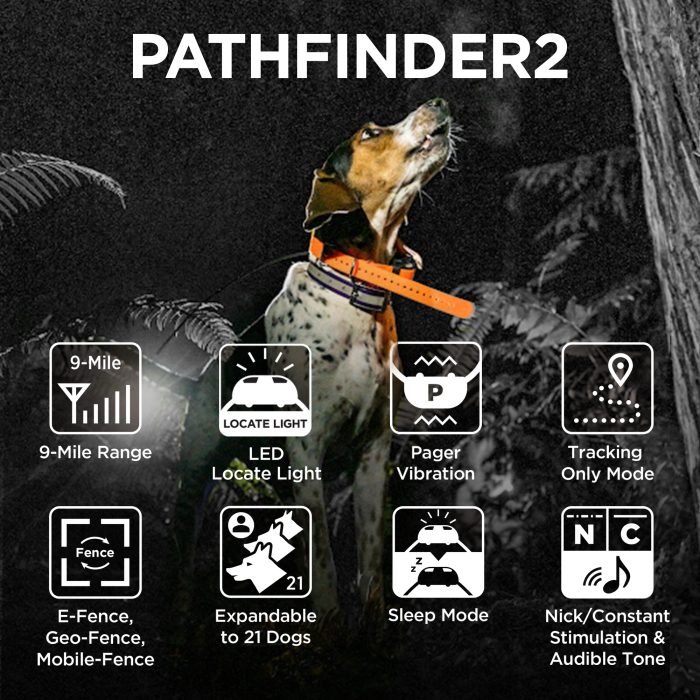 Dogtra PATHFINDER2 Additional Collar - Green - Image 3