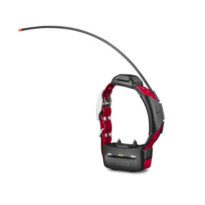 GARMIN TT 15X DOG COLLAR - Image 3