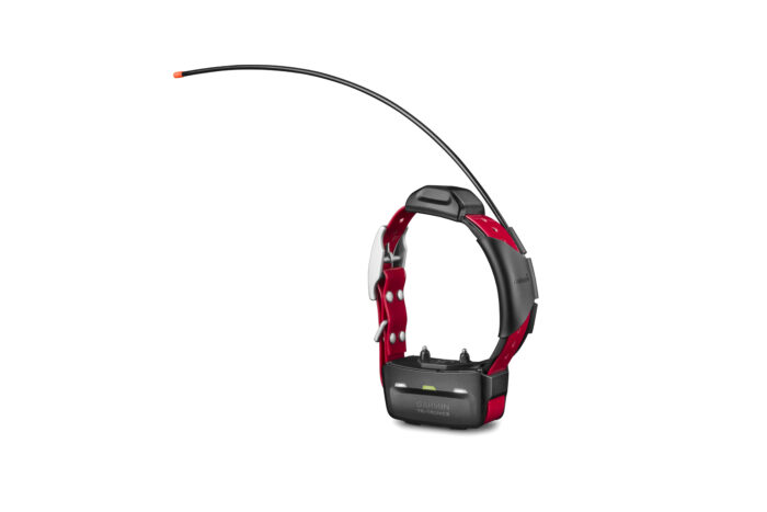 GARMIN TT 15X DOG COLLAR - Image 3