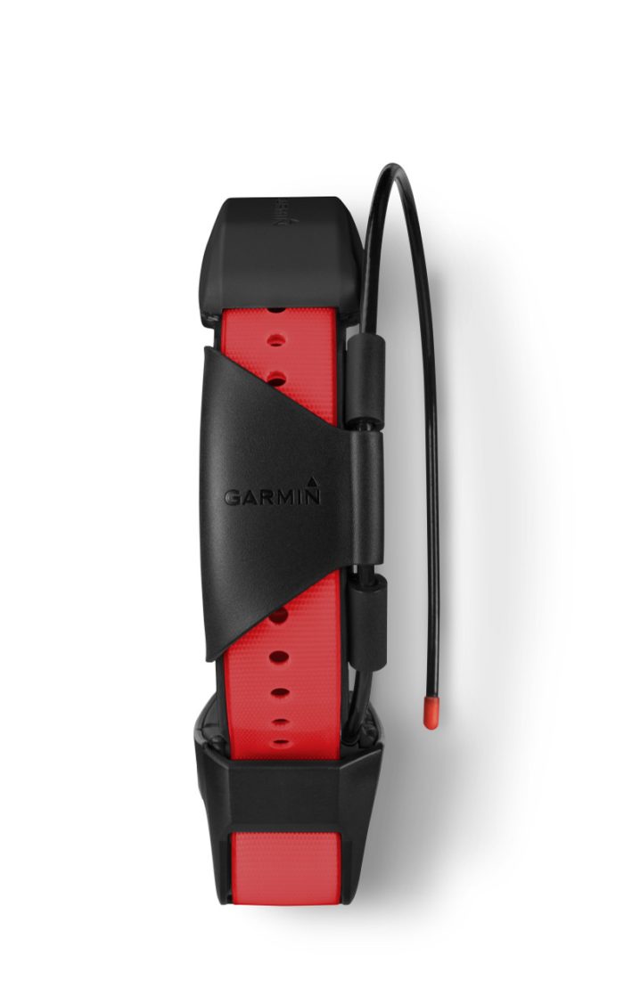 GARMIN TT 15X DOG COLLAR - Image 2