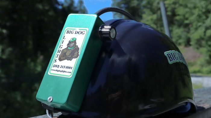 Big Dog Blitz - Image 4