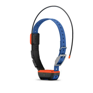 Garmin Alpha T 20 Dog Collar - Image 2