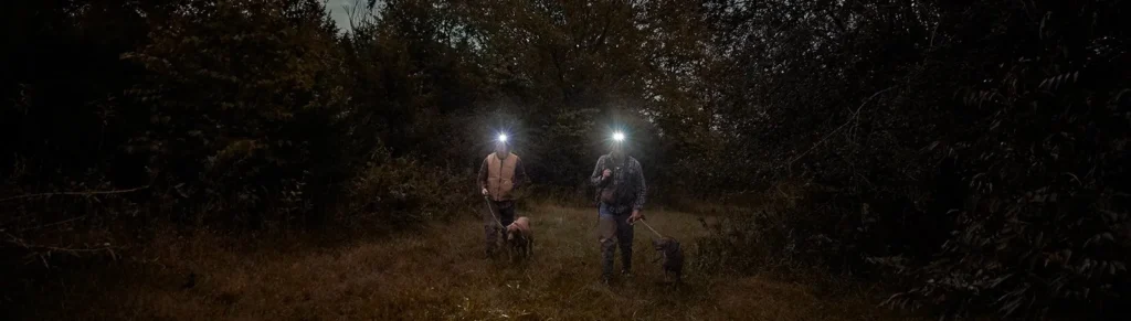 Tracking dogs at night with Garmin Alpha 10