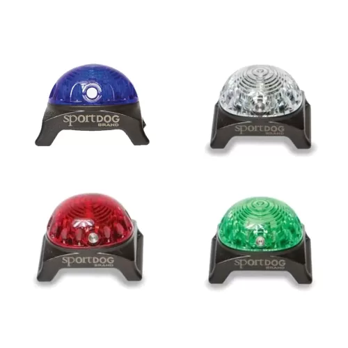 Collar Lights