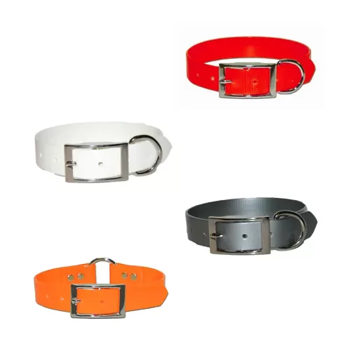 Dog Collars