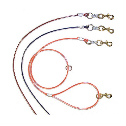 Dog Leads