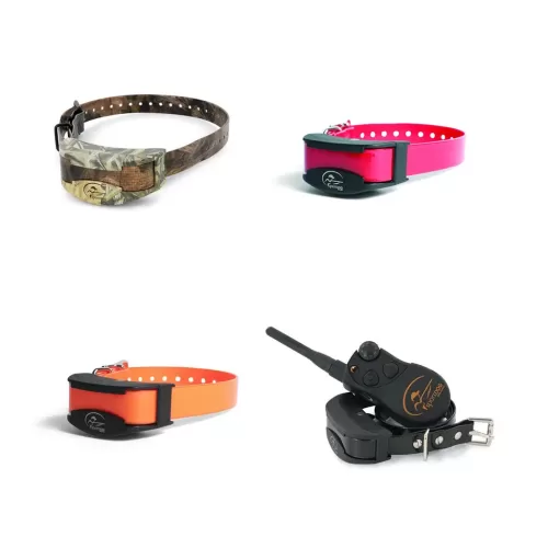 E-Collars
