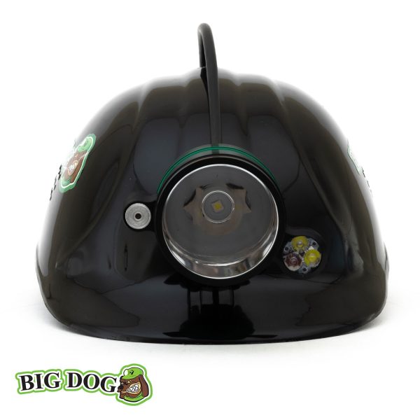 Big Dog Genesis Plus Hunting Light - Image 2