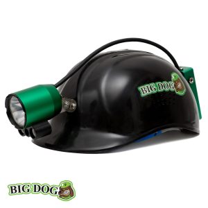 Big Dog Revelation Hunting Light